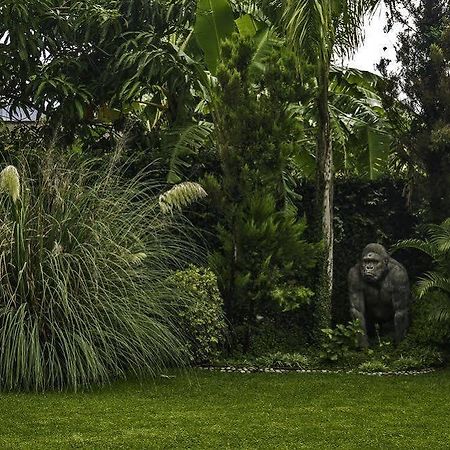 Casa Domingo Hotel Petit Miacatlán Exterior foto
